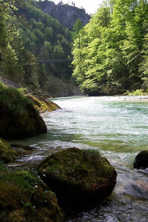Mariazell a přírodní skvosty Ötscheru – soutěska Wasserlochklamm a vodopády