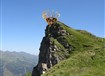 Rakousko - Salcburské Alpy - lanovky a veškeré vstupy v ceně zájezdu  