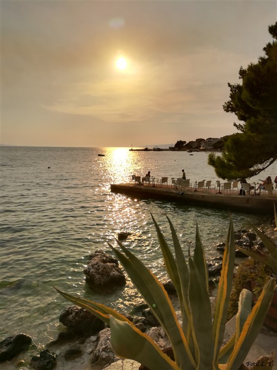 Soukromé apartmány Gradac